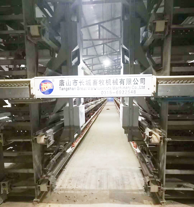 若是您想用自动化装备养蛋鸡，，，，，哪些蛋鸡装备是必不可少的？？？？
